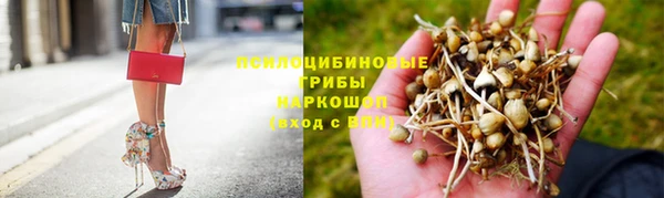 прущий лед Богородск