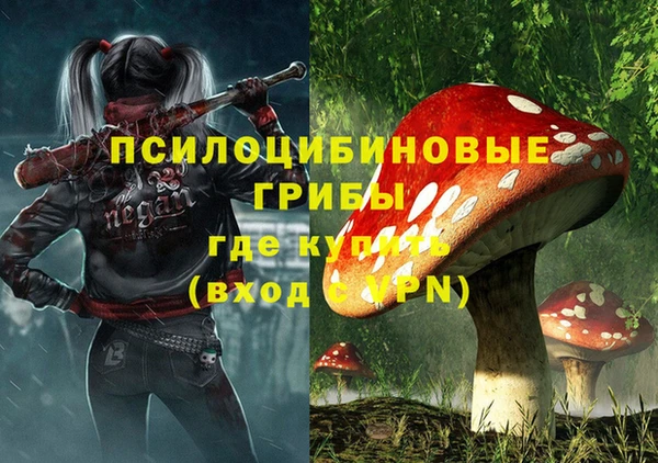 прущий лед Богородск
